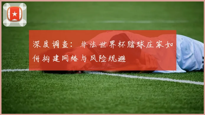深度调查：非法世界杯赌球庄家如何构建网络与风险规避