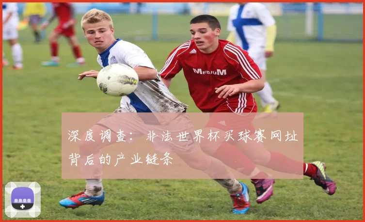 深度调查：非法世界杯买球赛网址背后的产业链条