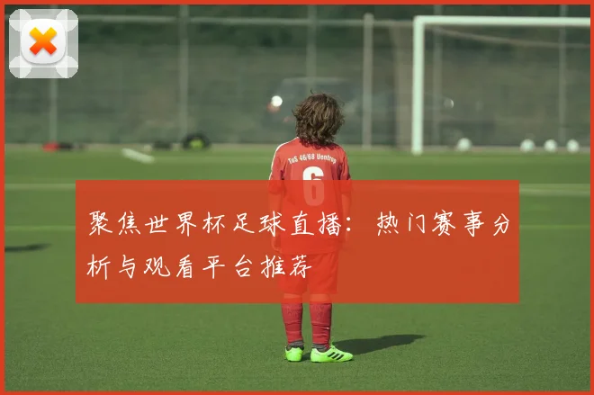 聚焦世界杯足球直播：热门赛事分析与观看平台推荐