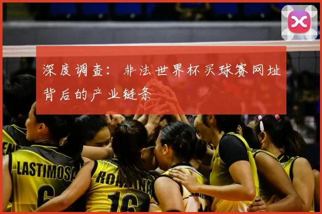 深度调查：非法世界杯买球赛网址背后的产业链条